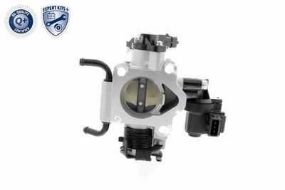 CARCASA CLAPETA ACKOJA A53810002 8