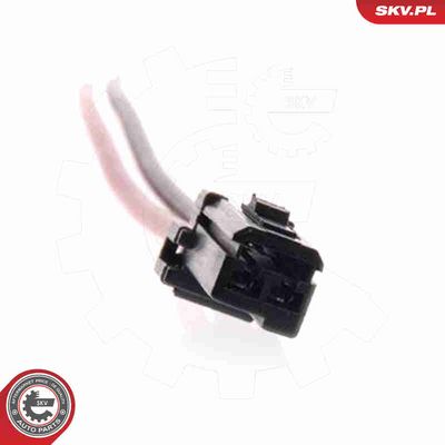 POMPA COMBUSTIBIL ESEN SKV 02SKV204 1