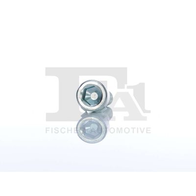 SURUB CU CAP TUBULAR INCARCATOR FA1 98910001 29
