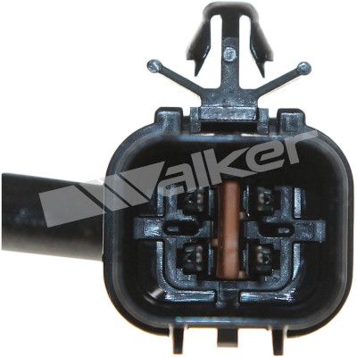 LAMBDASONDE WALKER PRODUCTS 250241001 3