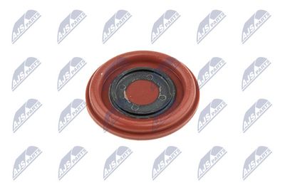 CAPAC CULBUTOR NTY BPZVV002 3