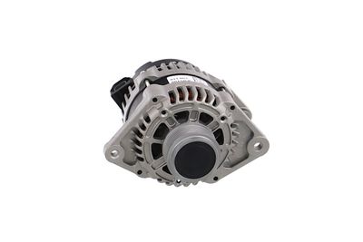 GENERATOR / ALTERNATOR REMANTE 011003001146R 59