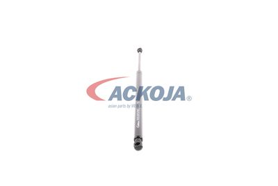 AMORTIZOR PORTBAGAJ ACKOJA A380134 49