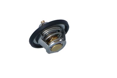 TERMOSTAT LICHID RACIRE NRF 725154 23