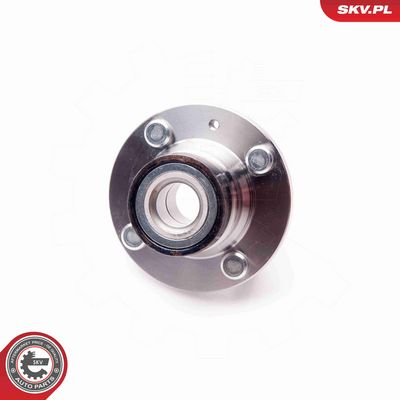 SET RULMENT ROATA ESEN SKV 29SKV083 2