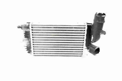 INTERCOOLER COMPRESOR VEMO V22600013 1