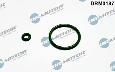 Dichtring, Düsenhalter Dr.Motor Automotive DRM0187
