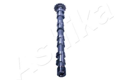 AX CU CAME ASHIKA 16FI001 2