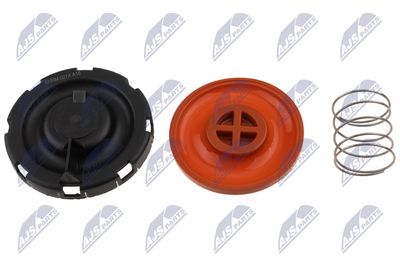 MEMBRANA AERISIRE CARCASA ARBORE COTIT