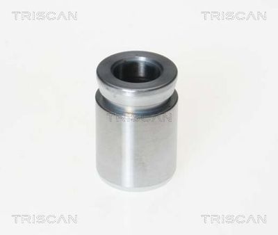 TRISCAN 8170 233304 Ремкомплект тормозного суппорта  для BMW 5 (Бмв 5)