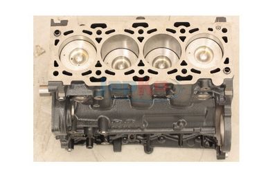 MOTOR EXCLUZAND ACCESORIILE JAPKO JHY005 1