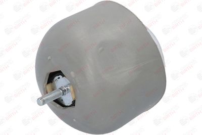 SUPORT MOTOR BIRTH 5915 3