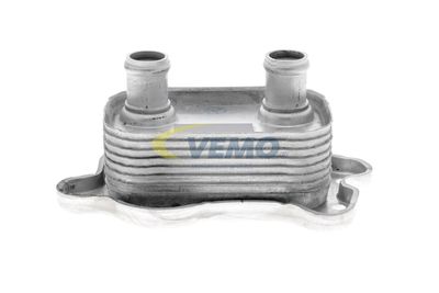 RADIATOR ULEI ULEI MOTOR VEMO V20600051 3