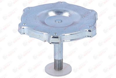 BUSON UMPLERE ULEI BIRTH 8081 6