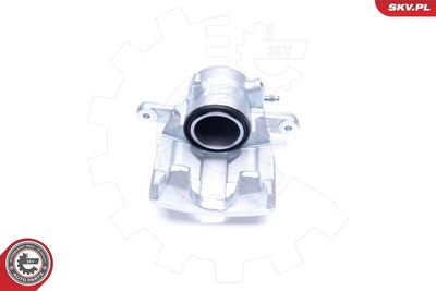 Brake Caliper 44SKV141