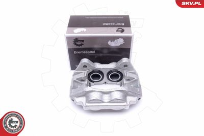 Brake Caliper 50SKV152