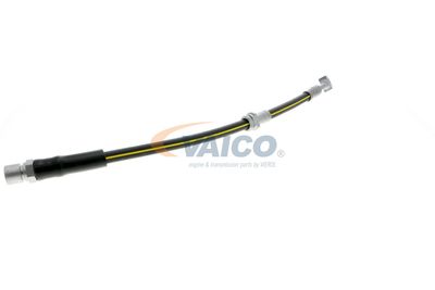 FURTUN FRANA VAICO V404110 35