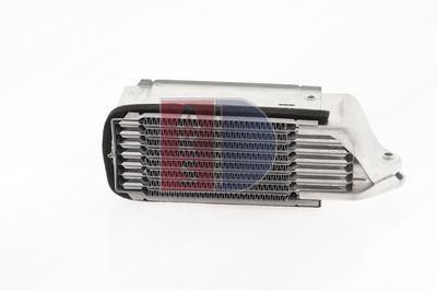 ÖLKüHLER MOTORöL AKS DASIS 046013N 8