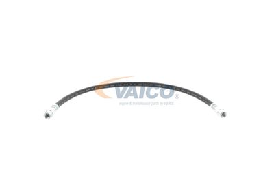 FURTUN FRANA VAICO V309926 11