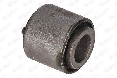 BUCSA ARBORE DE DIRECTIE BIRTH 4741 2