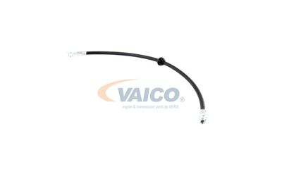 FURTUN FRANA VAICO V201909 17