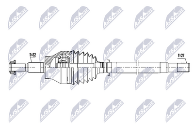 PLANETARA NTY NPWCH154