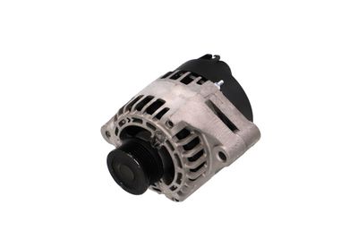 GENERATOR / ALTERNATOR REMANTE 011003000058R 7