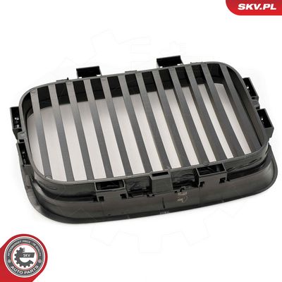 GRILA RADIATOR ESEN SKV 66SKV046 4