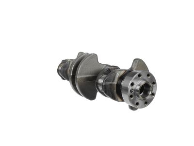 ARBORE COTIT ET ENGINETEAM HK0130 21