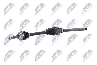 PLANETARA NTY NPWPE081 22