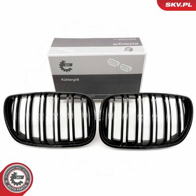 GRILA RADIATOR ESEN SKV 66SKV281 9
