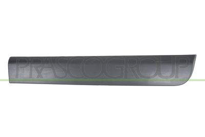 ZIER-/SCHUTZLEISTE TüR