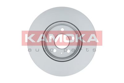 Brake Disc 103137