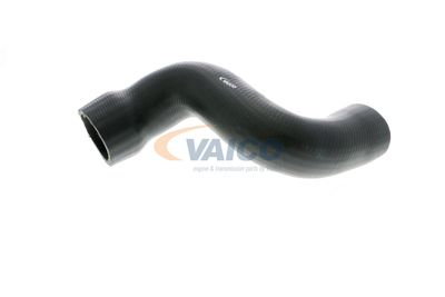 FURTUN EAR SUPRAALIMENTARE VAICO V103828 36