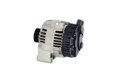 GENERATOR / ALTERNATOR REMANTE 011003000088R 17