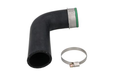 FURTUN EAR SUPRAALIMENTARE