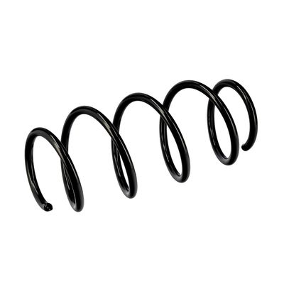 ARC SPIRAL EIBACH R10165 5