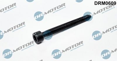 Šroub, držák vstřikovací trysky LIZARTE DRM0609