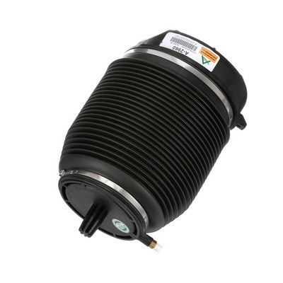 LUFTFEDER FAHRWERK Arnott A2960 72