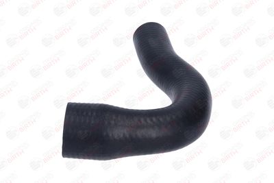 FURTUN EAR SUPRAALIMENTARE BIRTH 55963 4