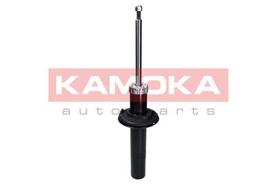 Shock Absorber 2000647