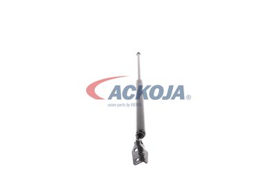 AMORTIZOR PORTBAGAJ ACKOJA A320091 49