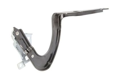 Engine bonnet hinge Links past: TESLA MODEL Y 01.20-