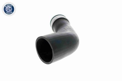 LADELUFTSCHLAUCH VAICO V102834 3