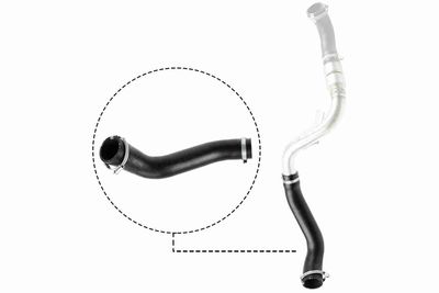 FURTUN EAR SUPRAALIMENTARE