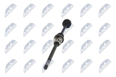 PLANETARA NTY NPWPE124 35