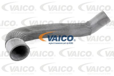 Трубка нагнетаемого воздуха VAICO V10-3838 для AUDI Q5