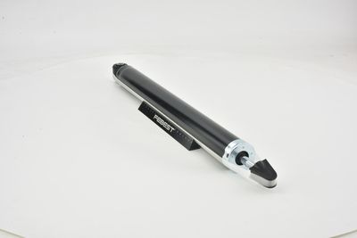 AMORTIZOR FEBEST 21650805R 11