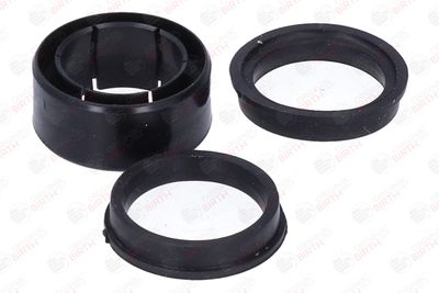 BUCSA ARBORE DE DIRECTIE BIRTH 4321 11