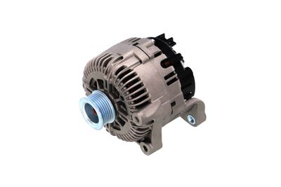 GENERATOR / ALTERNATOR REMANTE 011003000789R 6